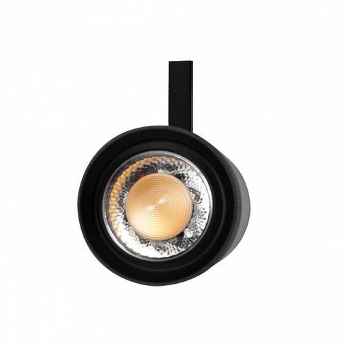 Светильник на штанге Lightstar Canno Pro 304207 в Нижнем Новгороде фото 2