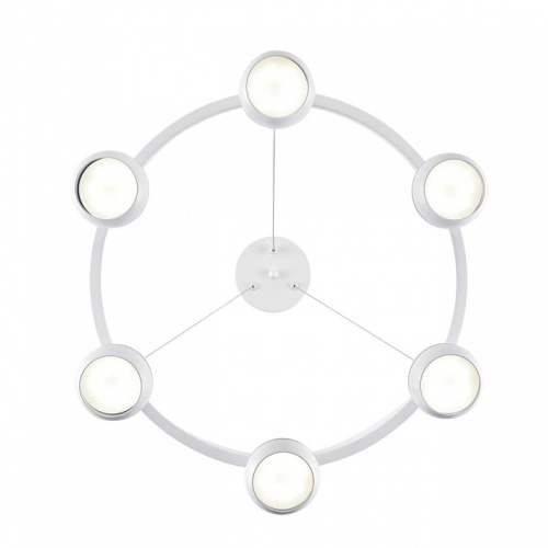 Подвесная люстра Lumion Luazana 8254/6 в Нижнем Новгороде фото 3