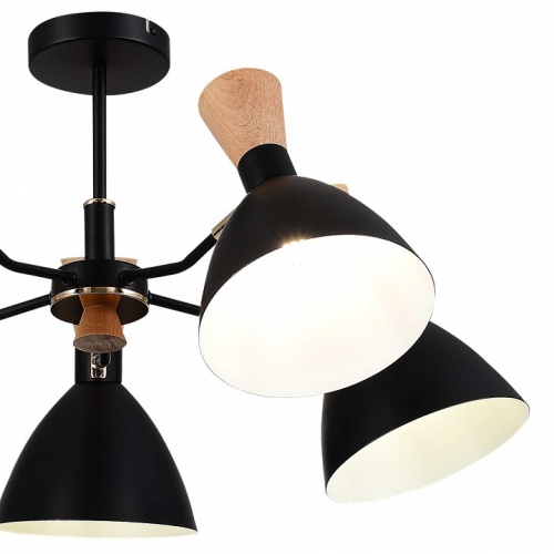 Люстра на штанге EVOLUCE VISTA SLE1256-402-05 в Нижнем Новгороде фото 3