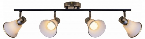 Люстра на штанге  05901-0.8-04 BK+FGD в Нижнем Новгороде