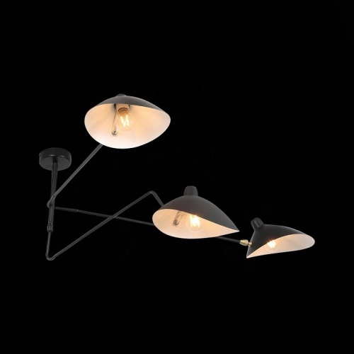 Люстра на штанге ST-Luce Spruzzo SL305.402.03 в Нижнем Новгороде фото 4