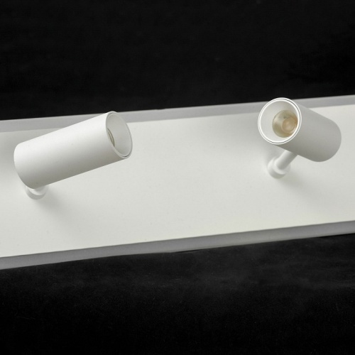 Накладной светильник LGO Harris LSP-7279 в Нижнем Новгороде фото 4