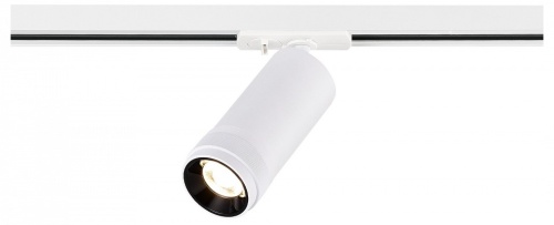 Светильник на штанге ST-Luce BASE ST385.536.20 в Нижнем Новгороде фото 3