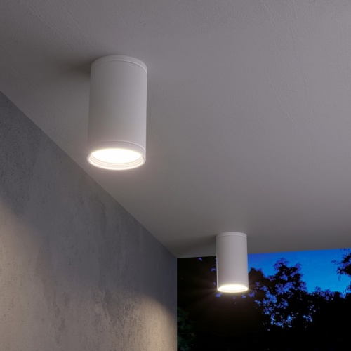 Накладной светильник Elektrostandard Light a056333 в Нижнем Новгороде фото 2