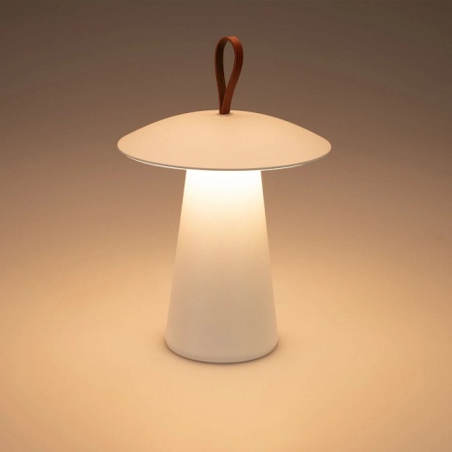 Настольная лампа декоративная Arlight SP-PATIO 030051 в Нижнем Новгороде фото 6