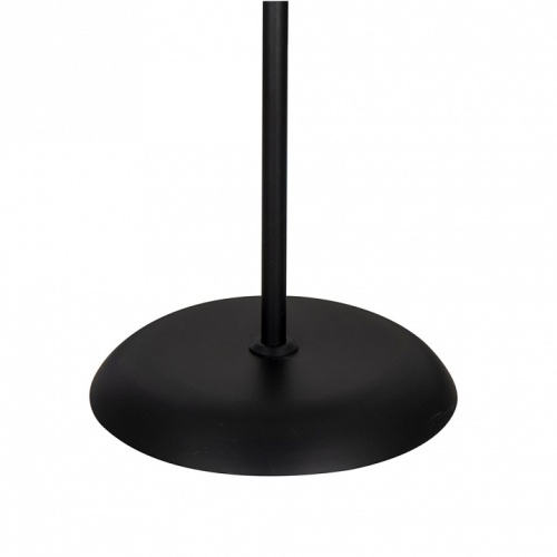 Торшер с подсветкой Arte Lamp Duetto A9569PN-2BK в Гаджиево фото 2