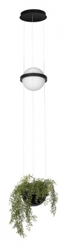 Подвесной светильник Loft it Jardin 10121/B в Нижнем Новгороде фото 5