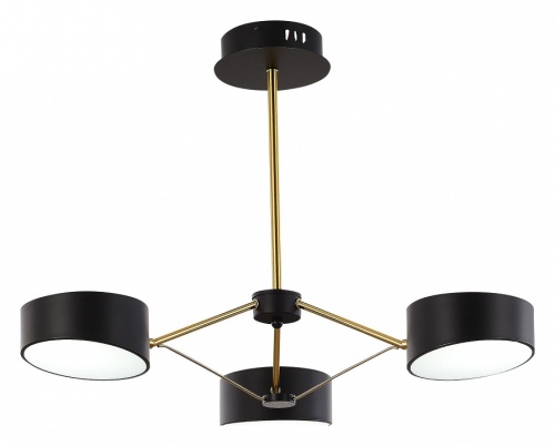 Люстра на штанге EVOLUCE Valle SLE6005-402-03 в Нижнем Новгороде фото 5