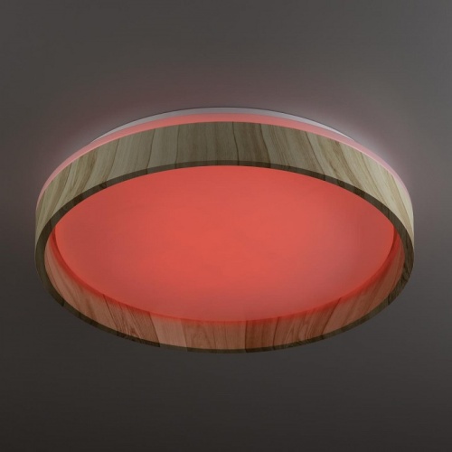 Накладной светильник Citilux ENZO CL753352G в Нижнем Новгороде фото 7