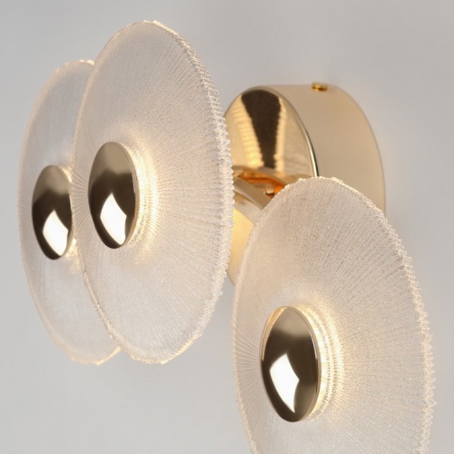 Накладной светильник Rivoli Helena Б0061946 в Нижнем Новгороде фото 2