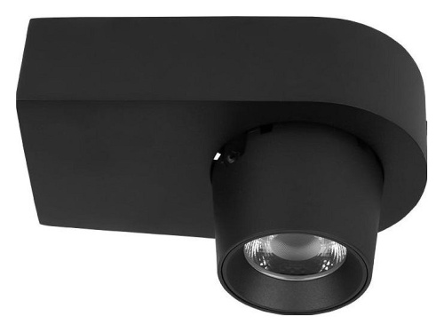 Накладной светильник Loft it Quiet 10320 Black в Нижнем Новгороде фото 4