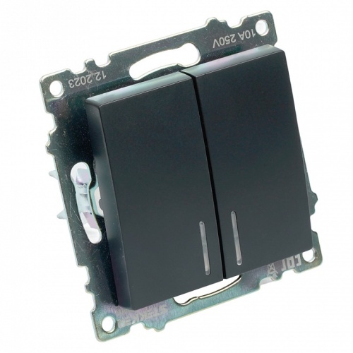 Выключатель двухклавишный с подсветкой без рамки Stekker Катрин 39607 в Нижнем Новгороде фото 2