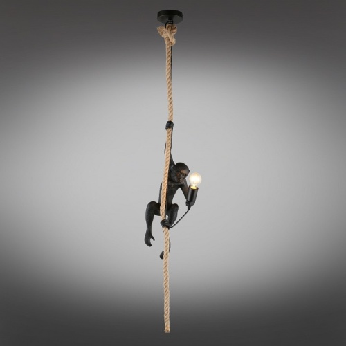 Подвесной светильник Aployt Magali APL.309.16.01 в Нижнем Новгороде фото 13