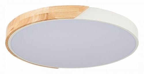 Накладной светильник EVOLUCE Festa SLE200952-01 в Нижнем Новгороде фото 4