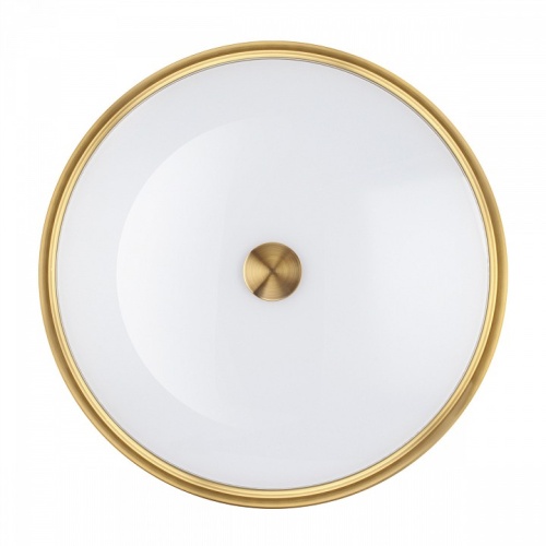 Накладной светильник Odeon Light Marsei 4824/4C в Нижнем Новгороде фото 4