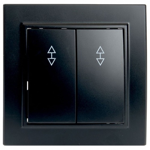 Переключатель двухклавишный Stekker Эрна 39921 в Нижнем Новгороде