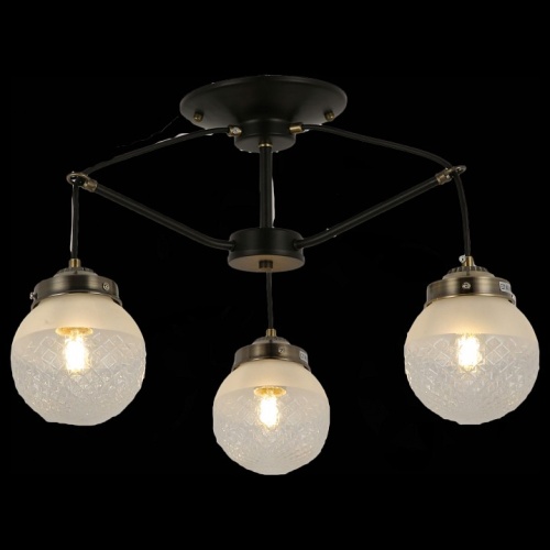 Люстра на штанге EVOLUCE Stricce SLE110302-03 в Нижнем Новгороде фото 3