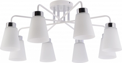 Люстра на штанге Rivoli Miley 9192-308 в Нижнем Новгороде фото 3