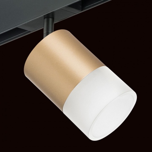 Светильник на штанге Lightstar Rullo PRO349081 в Нижнем Новгороде фото 2