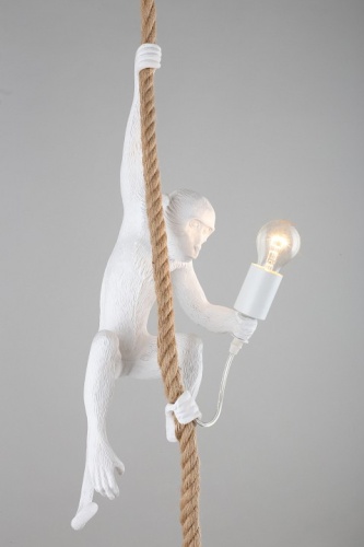 Подвесной светильник Aployt Magali APL.309.06.01 в Нижнем Новгороде фото 10