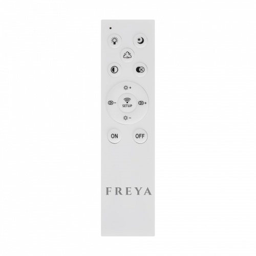 Накладной светильник Freya  FR10029CL-L70W в Нижнем Новгороде фото 2