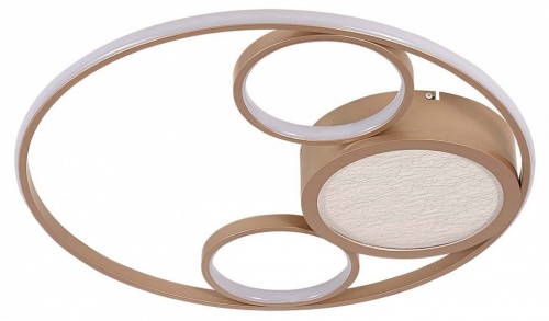 Потолочная люстра F-promo Campus 4681-4C в Нижнем Новгороде