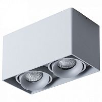 Накладной светильник Arte Lamp Pictor A5654PL-2GY в Нижнем Новгороде