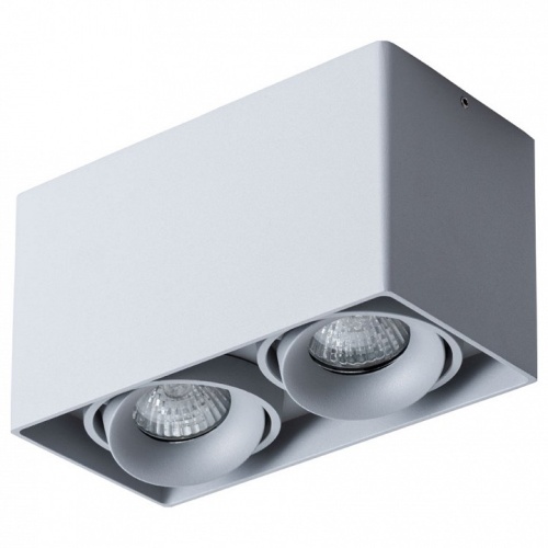 Накладной светильник Arte Lamp Pictor A5654PL-2GY в Нижнем Новгороде