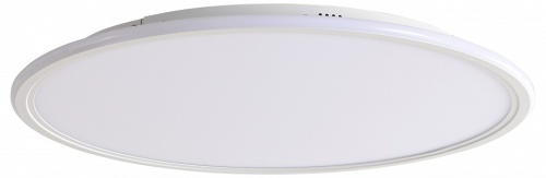 Накладной светильник Zortes Galo ZRS.10112.13 в Нижнем Новгороде