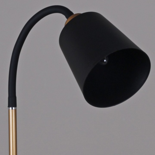 Торшер 00301-0.6-01D BK в Нижнем Новгороде фото 3