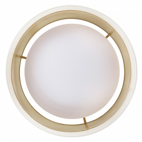 Накладной светильник MyFar Anders MR2371-1CL в Нижнем Новгороде фото 4