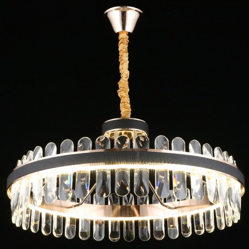 Подвесной светильник Aployt Honori APL.027.03.102 в Нижнем Новгороде фото 7