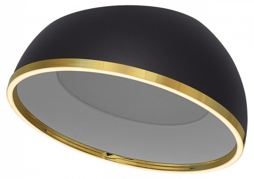 Накладной светильник Citilux FLOOM CL736151 в Нижнем Новгороде