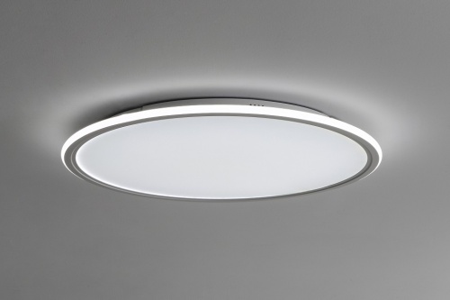 Накладной светильник Zortes Galo ZRS.10112.13 в Нижнем Новгороде фото 6