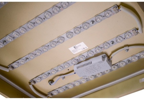 Накладной светильник Zortes Gabby ZRS.1215.03 в Нижнем Новгороде фото 5