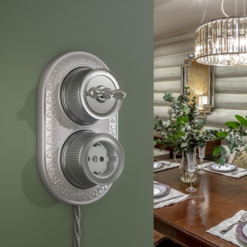 Розетка с заземлением Werkel Ретро (матовый хром) WL19-10-01 в Нижнем Новгороде фото 3