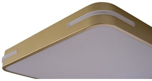 Накладной светильник Zortes Gabby ZRS.1215.03 в Нижнем Новгороде фото 3