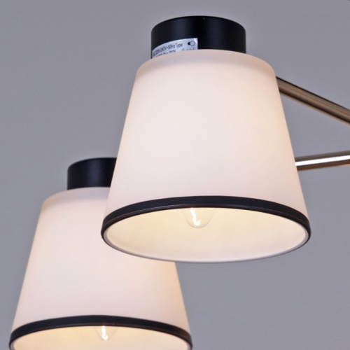 Люстра на штанге  30560-0.3-05 BK+FG в Нижнем Новгороде фото 2