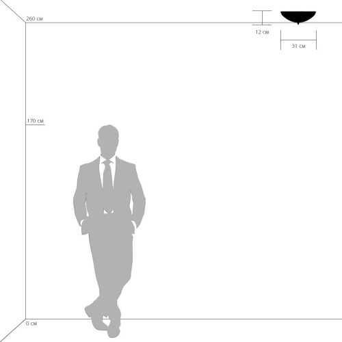 Потолочный светильник Lightstar ZUCCHE 820232 в Нижнем Новгороде фото 2