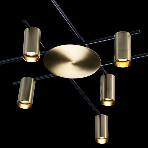 Потолочная люстра Loft it Tribes 8120C-10 в Нижнем Новгороде фото 2