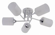 Потолочная люстра Rivoli Federica Б0068392 в Нижнем Новгороде