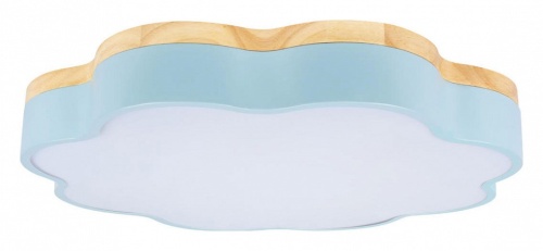 Накладной светильник Loft it Axel 10225/36 Blue в Нижнем Новгороде фото 7