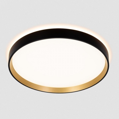 Накладной светильник Citilux ETALON CL750321R в Нижнем Новгороде фото 13