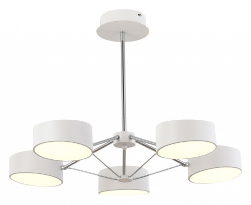 Люстра на штанге EVOLUCE Valle SLE6005-502-05 в Нижнем Новгороде фото 6