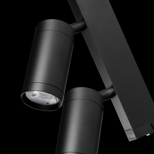 Светильник на штанге Lightstar Teta 205507 в Нижнем Новгороде фото 2