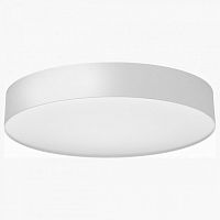 Накладной светильник Citilux BART CL755390 в Нижнем Новгороде