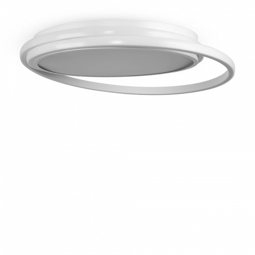 Накладной светильник Freya  FR10032CL-L98W в Нижнем Новгороде фото 6