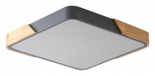 Накладной светильник Zortes Alberro ZRS.01288.24 в Нижнем Новгороде