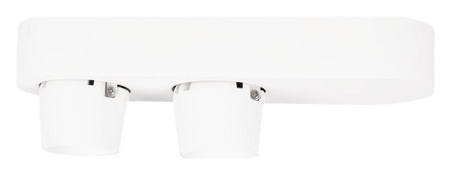 Накладной светильник Loft it Quiet 10320/2 White в Нижнем Новгороде фото 5