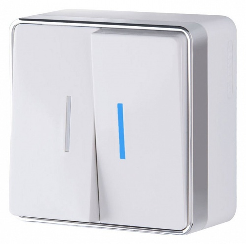 Выключатель двухклавишный с подсветкой Werkel Gallant (белая) W5020101 в Нижнем Новгороде